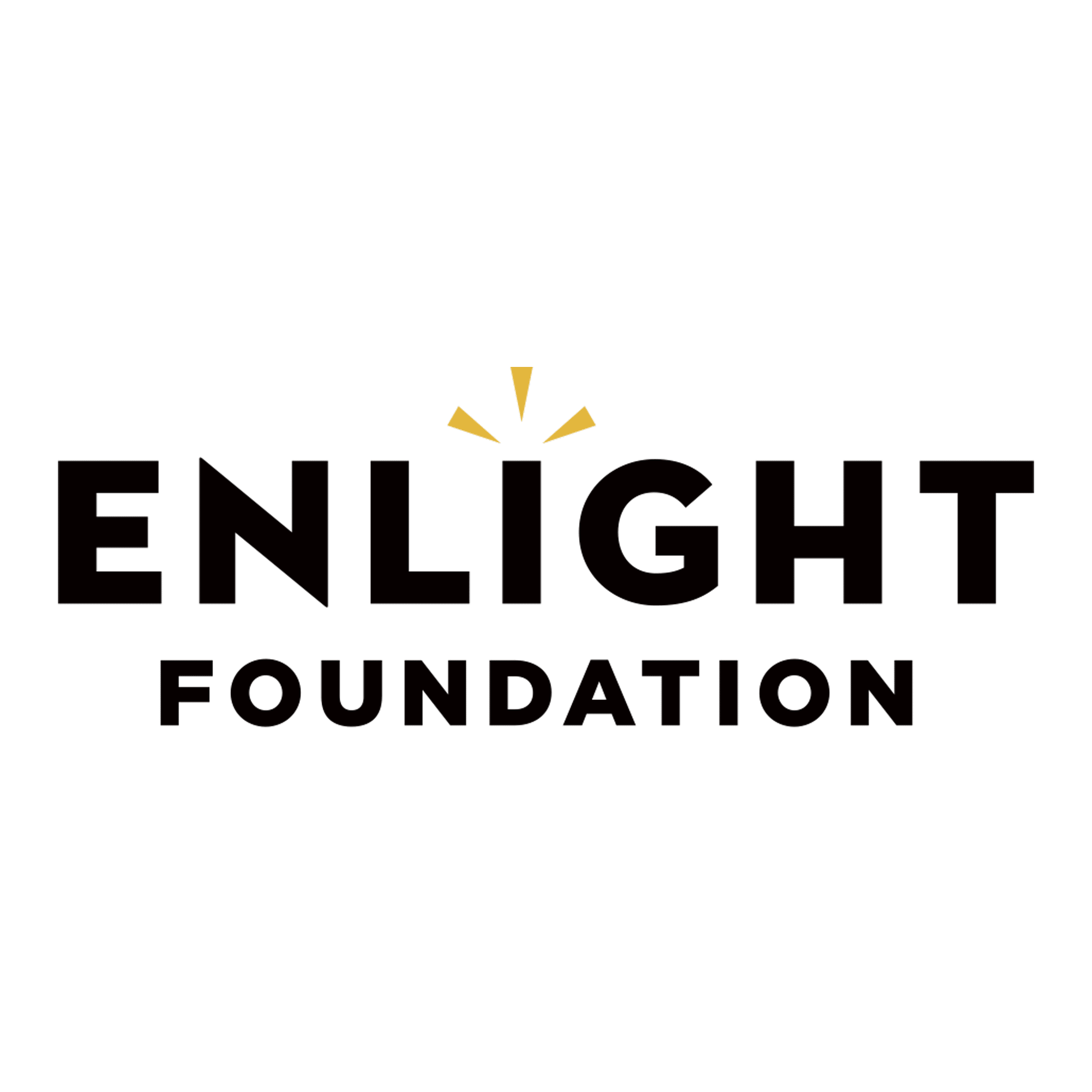 Enlight Foundation